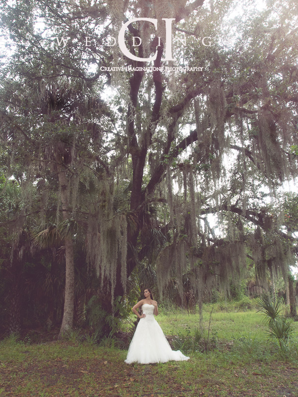 Wedding Photographer Southwest Florida Wedding Photographer Southwest Florida