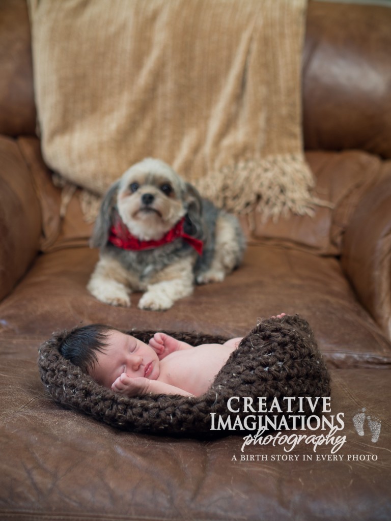 Infant Lifestyle Session - Cape Coral FL