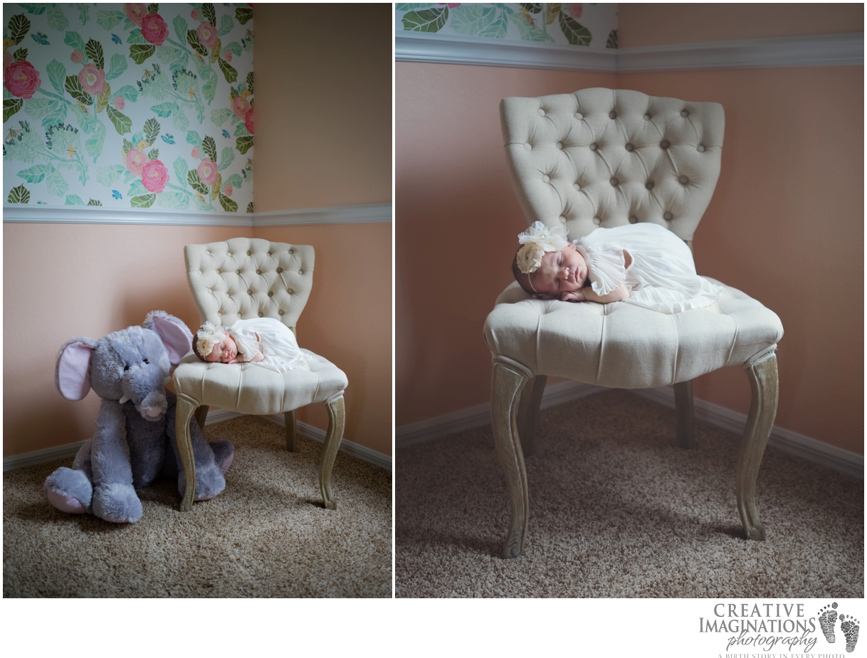 newborn lifestyle session